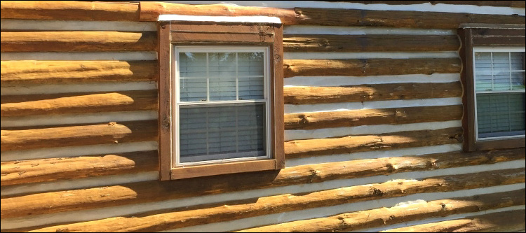 Log Home Whole Log Replacement  Berrien County, Georgia