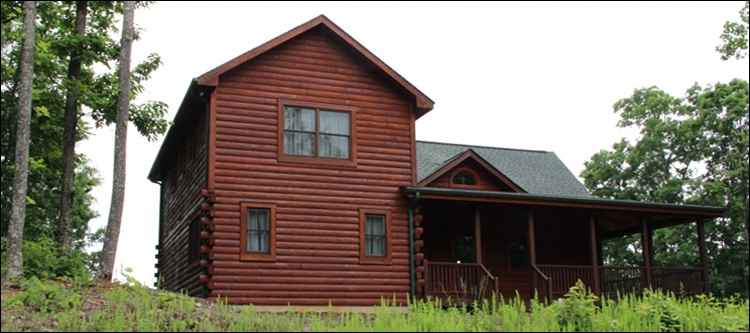 Professional Log Home Borate Application  Berrien County, Georgia